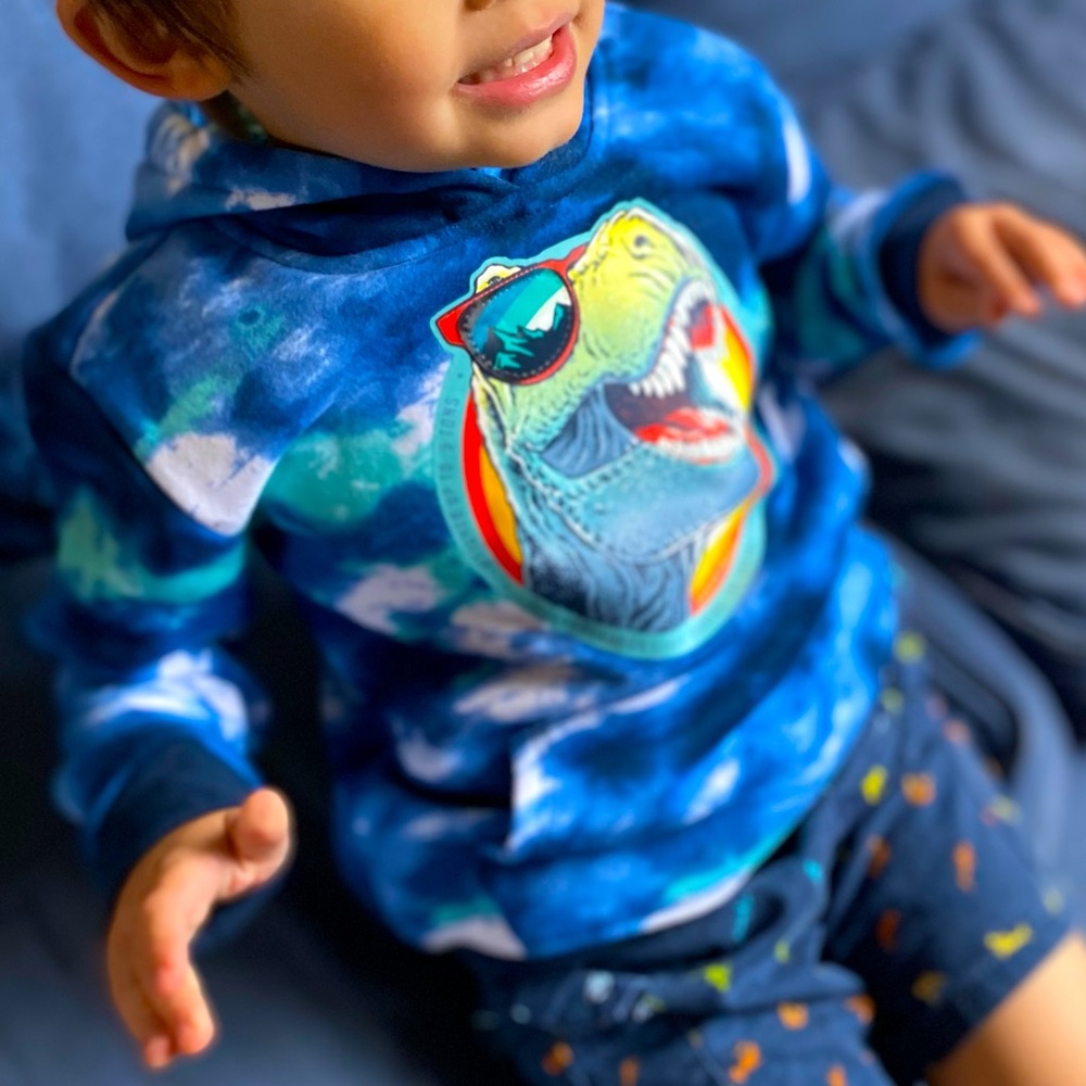 Dinosaur Hoodie